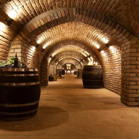 Bb 아파트 Dolní Bojanovice